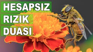 Hesapsiz Rizik Duasi Çok Etkili Rızık Ve Bereket Duası Günlük Dualar Göktuğ Tv