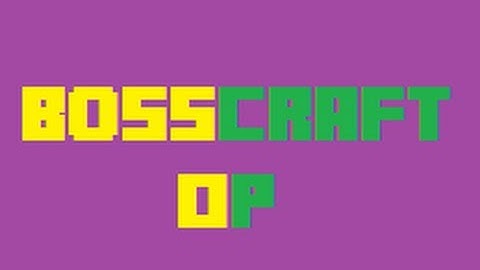 Minecraft Server Review "BossCraft"