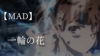 一輪の花 Youtube