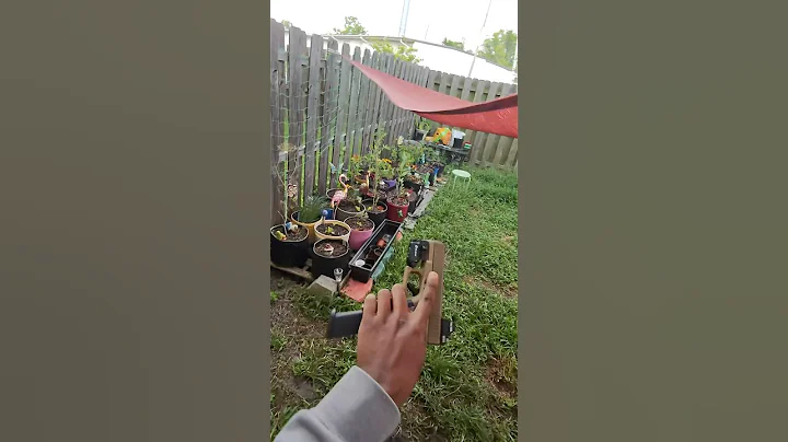 Post storm loadout #Airsoft #fyp #shorts #arp#tacticaledc #youtubeshorts #edc #warzone #ytshorts