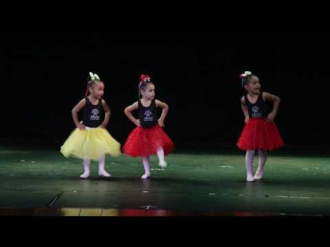 Circus - Ballet Clássico [Mostra Coreográfica 2019]