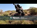 أغنية حي وهم شهداء عملية السلط 2018 أغنية حي وهم شهداء عملية السلط 2018