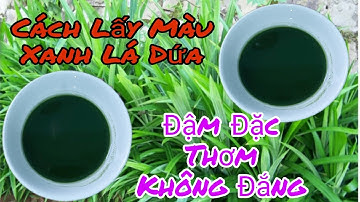 Mẹo Lấy Màu Xanh Lá Dứa Đậm Đặc Thơm Và Không Bị Đắng| @TashaTran