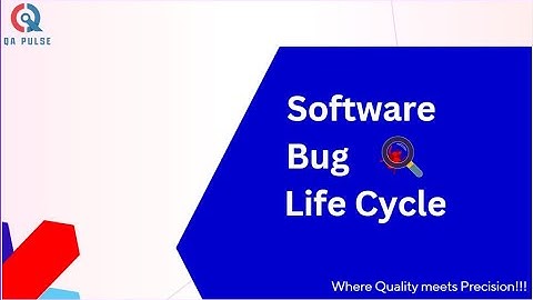 Software Bug Life Cycle