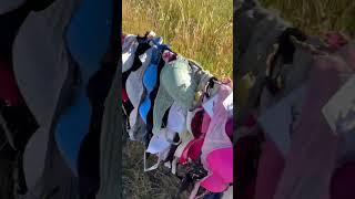 Cardrona | Bra Fence | New Zealand