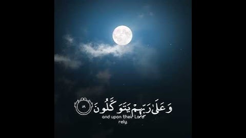 تلاوة تريح القلب سورة العنكبوت الآية (59).(60)