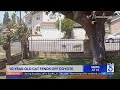 10-year-old cat fends off coyote in L.A.