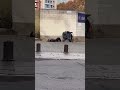 Está gobernando la ultraderecha – Francisco de Pájaro, street art video Barna, graffiti video