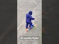 20 months Ryder