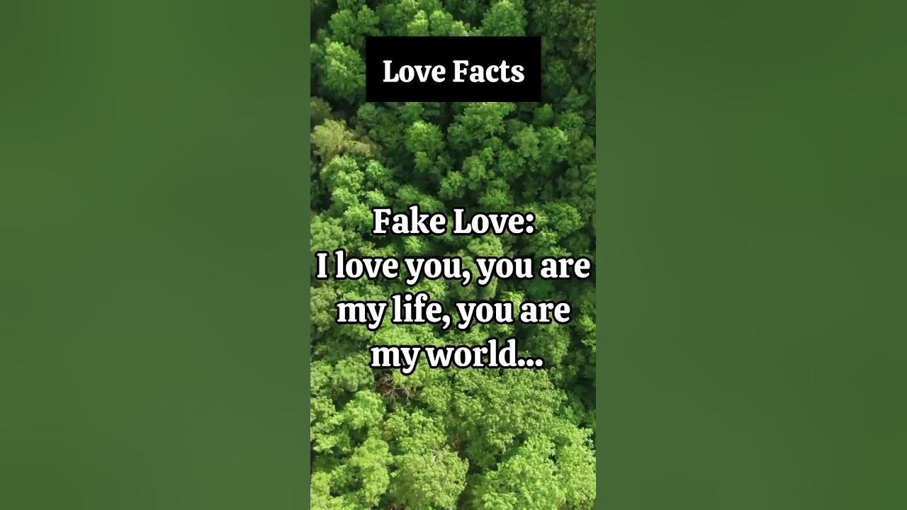 fake-love-true-love-shorts-youtube