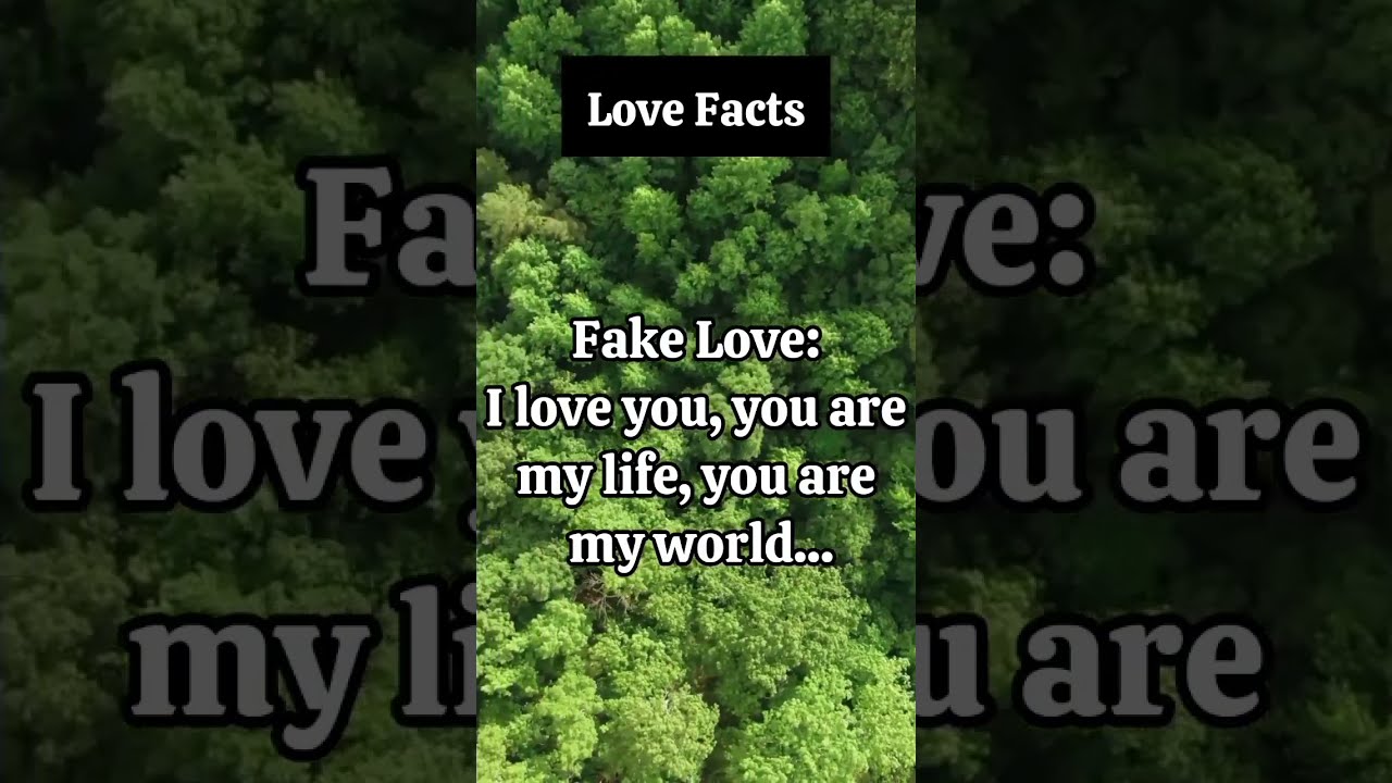Fake Love True Love shorts YouTube Fake Love True Love shorts YouTube