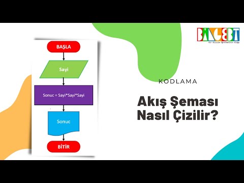 Video: Z şeması nerede oluşur?