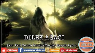 Di̇lek Ağaci Yorum - Şengül Aydın Şiir Fm De Ayın Şairi - Peri Feride Özbilge