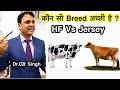 Best Cow Breed | HF Vs Jersey | Dairy Farm | Dr CB Singh | Dairy Ustaad