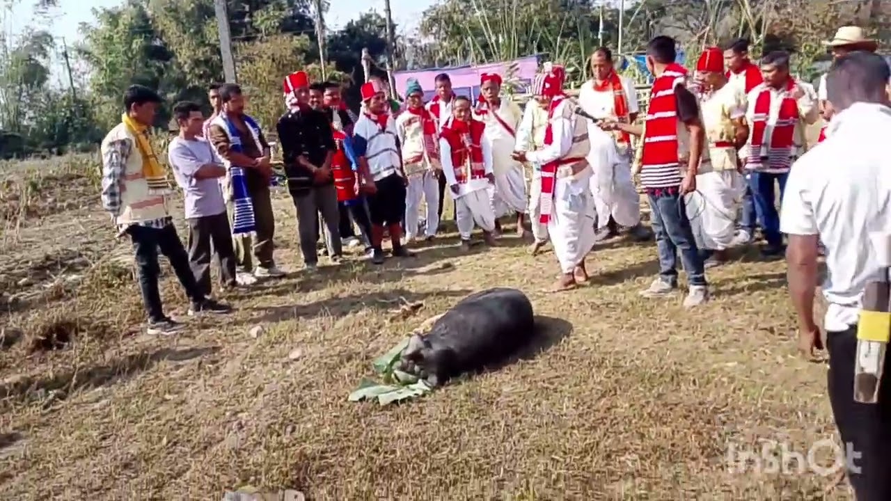 Ali Aye ligang rihajuli mising Village beautiful ❤️ Years 18/02/2026 