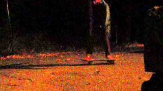 20 flatground tricks
