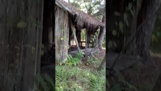 Green Swamp East Tract- Shacks 11-13-16
