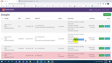 [Eager proxy] Hướng dẫn sử dụng Eager proxy với fplus - nuôi acc cực trâu