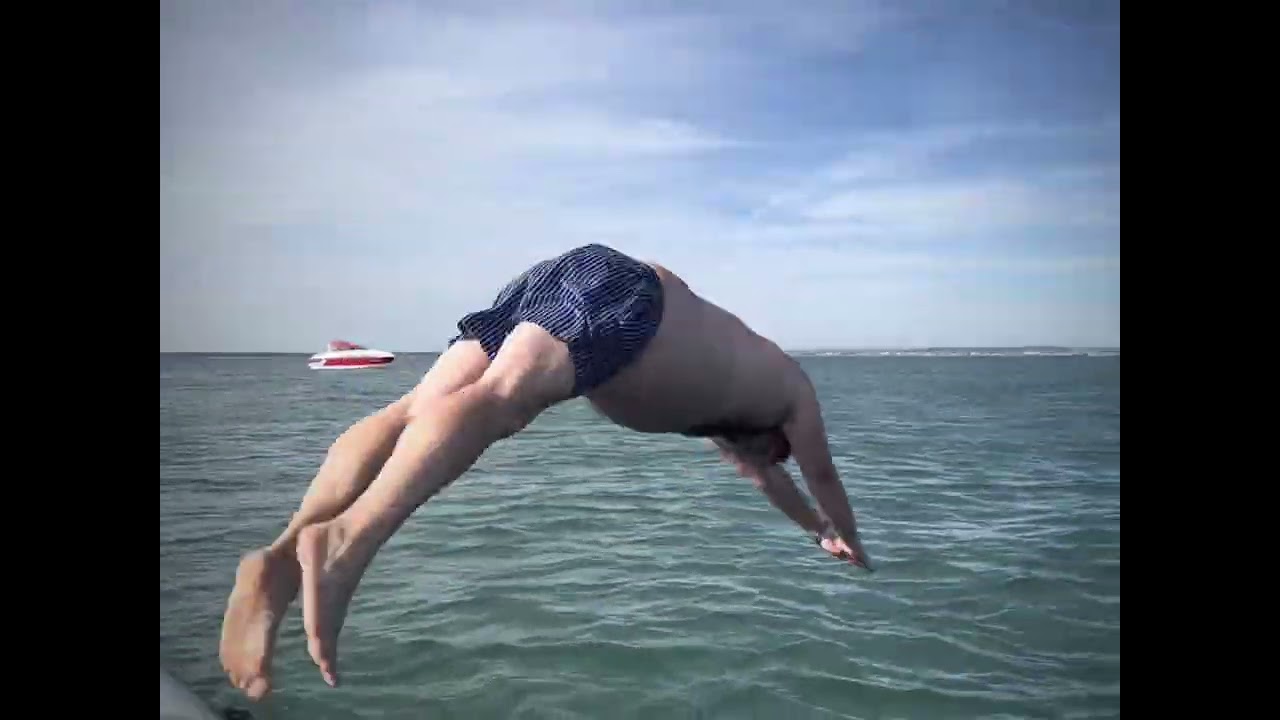 Paultons Park and swimming with seals