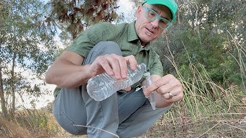 Environmental Sampling for Algae (ED/IES #1)