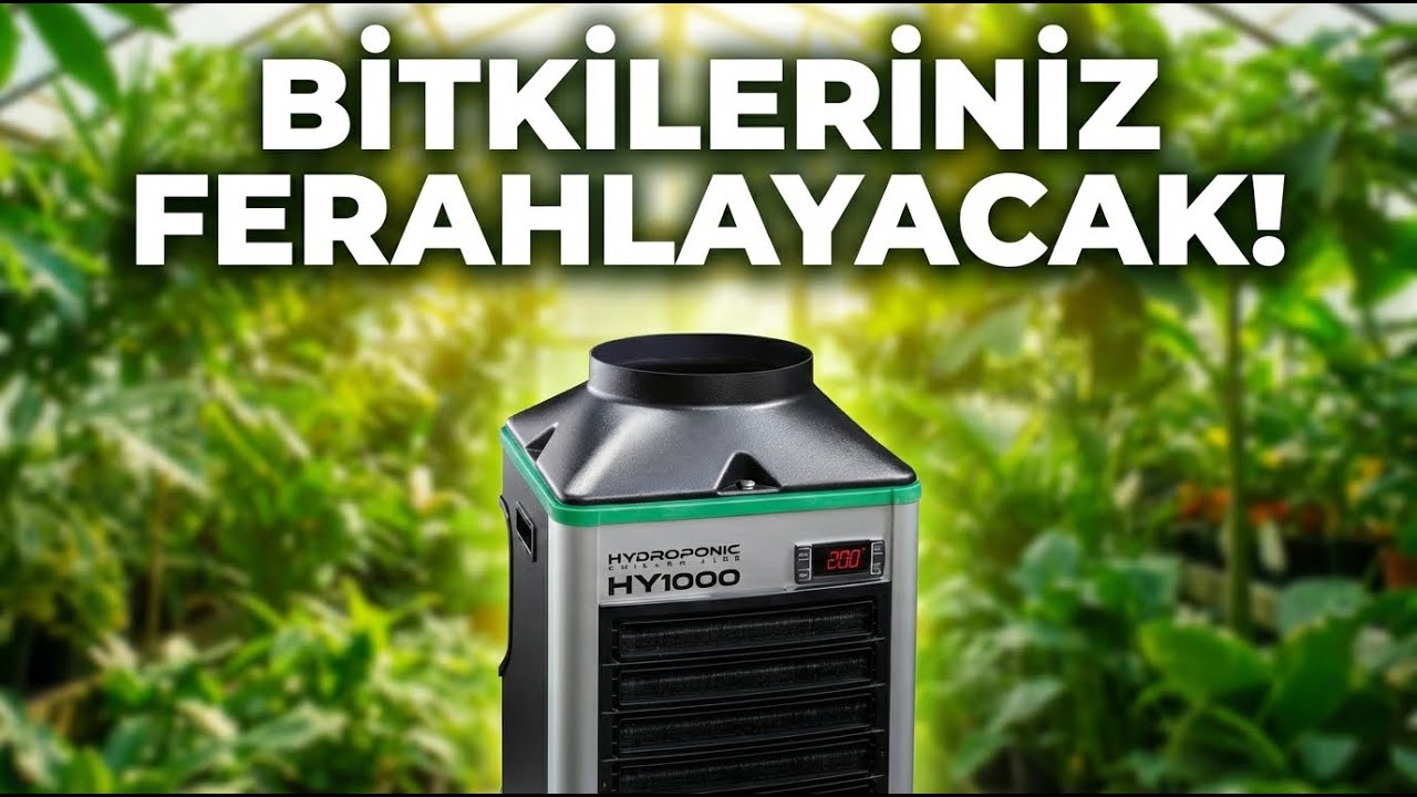 Hidroponik Sistemin Kalbi: Chiller Neden Zorunlu?