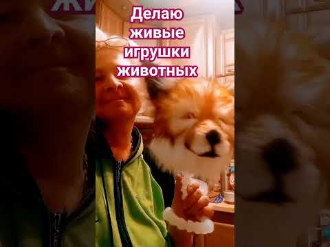Мягкие игрушки ручной работы #igrushka #рукоделие #хобби