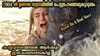 2004ൽ ഉണ്ടായ സുനാമിയിൽ അകപ്പെട്ടകുടുബത്തിന്റെ കഥ . യഥാർത്ഥ സംഭവത്തെ അടിസ്ഥാനമാക്കി എടുത്ത ചിത്രം