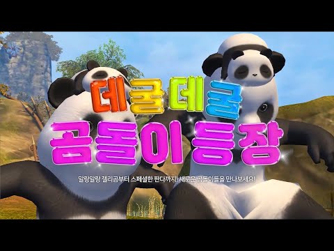 [AION] 데굴데굴 곰돌이 등장!