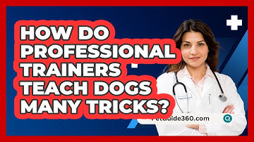 How Do Professional Trainers Teach Dogs Many Tricks? - PetGuide360.com