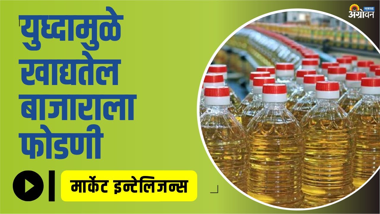 Edible Oil Market युध्दामुळे वाढण्याचा अंदाज Edible Oil News