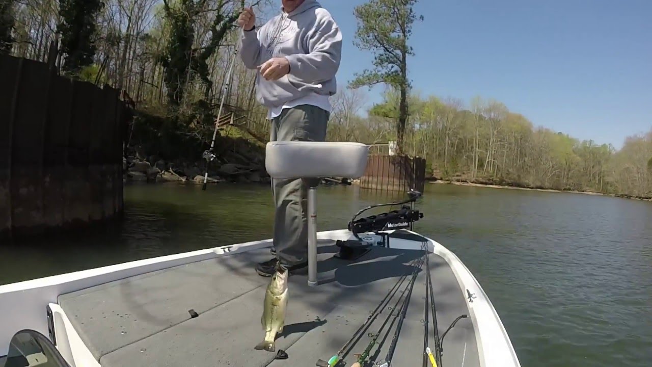 Lake Wheeler Alabama Vid1 March 2016 YouTube