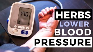 4 Herbs to Lower Blood Pressure + How to Use (Hawthorn, Garlic, Ginger, Flaxseed)