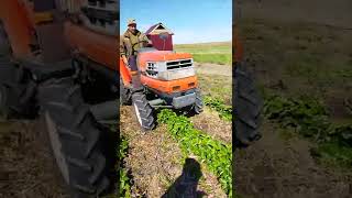 Kubota GL 21 + SK 2x60