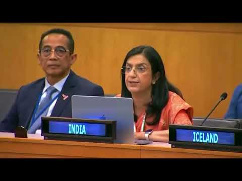 Panel discussion | High-Level Meeting on PPPR | 𝗦𝗺𝘁. 𝗚𝗲𝗲𝘁𝘂 𝗝𝗼𝘀𝗵𝗶 | UNGA 81