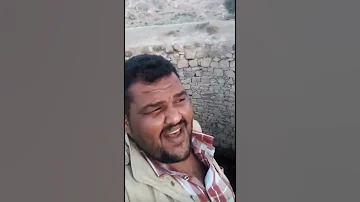 شيلة الناس تنعم في ضلال وعماير 