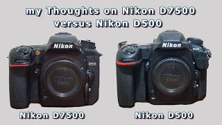 My thoughts on Nikon D7500 versus Nikon D500