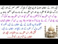 The funny story about a famous tomb  sultan salahudin ayubi or famous maqbara  ehsaan ali voice