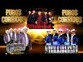 Los Originales De San Juan, Grupo Exterminador, Los Terribles Del Norte 🎵 Puros Corridos Mix 2022