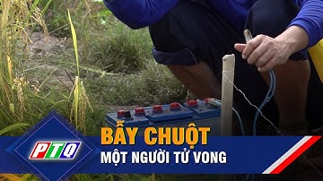 Dùng điện bẫy chuột bảo vệ lúa làm một người tử vong | PTQ
