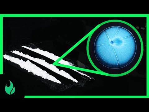 DRUGS UNDER A MICROSCOPE