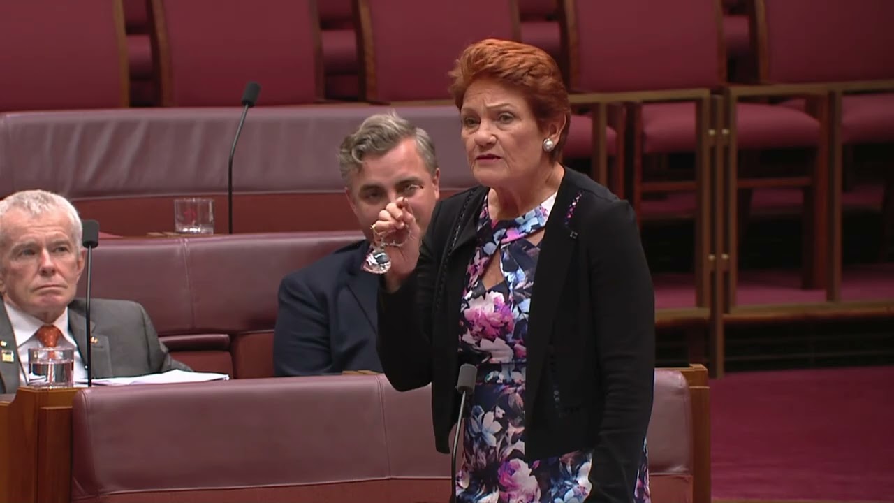 Pauline Hanson responds to censure motion STUNT