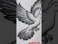 How to draw easy pigeon  drawing pencil sketch sorts arpitas art 