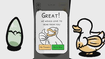 A Truly Inspiring Duck & Egg Story | A Cluster Of Ducks Hatching