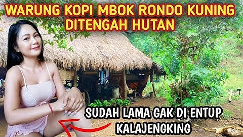 HEBOH !! WARUNG KOPI MBOK RONDO KUNING DITENGAH HUTAN || sudah lama gak pernah di entup kalajengking