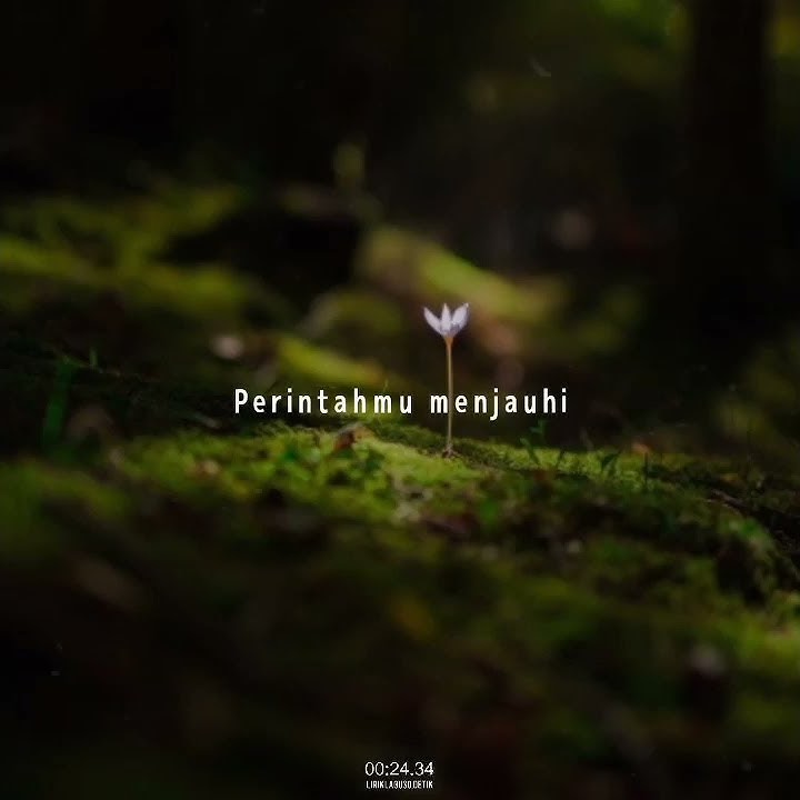 story WA ungu dan demi nafasmu