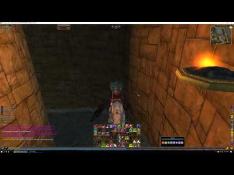 Everquest 2 - Drunken Freeport mercenary galleries