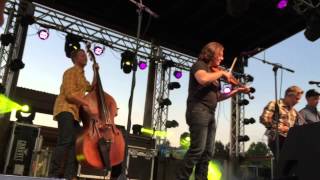 The Infamous Stringdusters - Summer Camp