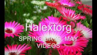 Halextorg Intro Spring 2010.wmv