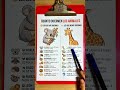 Cuánto tiempo duermen los animales