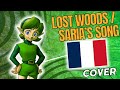 The legend of zelda  chant de saria  sarias song lost woods  cover franaisfrench